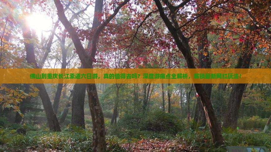 佛山到重庆长江索道六日游