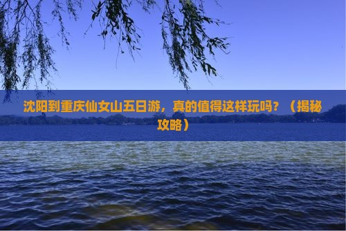 沈阳到重庆仙女山五日游