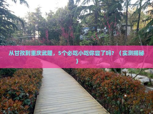 甘孜到重庆武隆旅游小吃