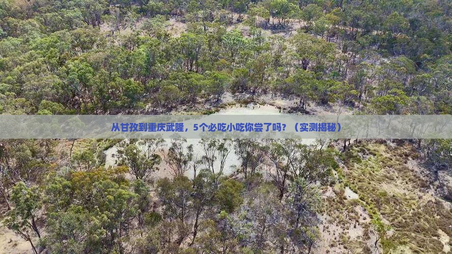 甘孜到重庆武隆旅游小吃
