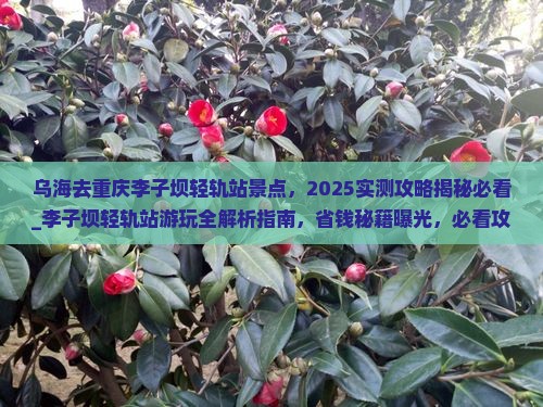 乌海去重庆李子坝轻轨站景点