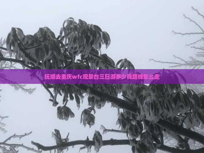 抚顺去重庆wfc观景台三日游