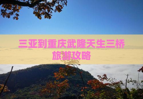 三亚到重庆武隆天生三桥自由团
