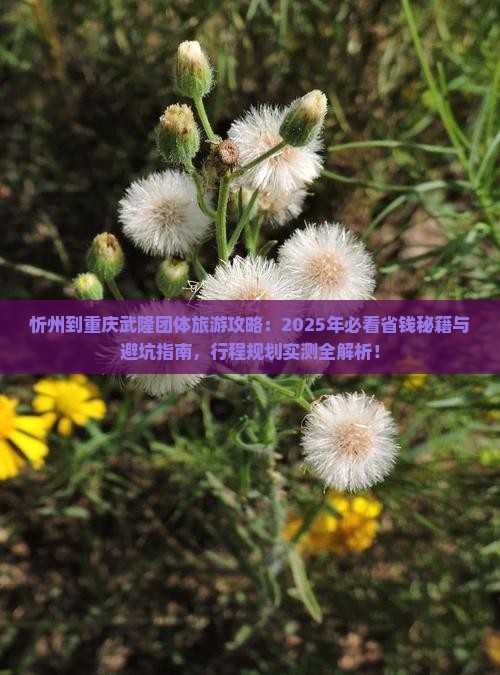 忻州到重庆武隆团体旅游
