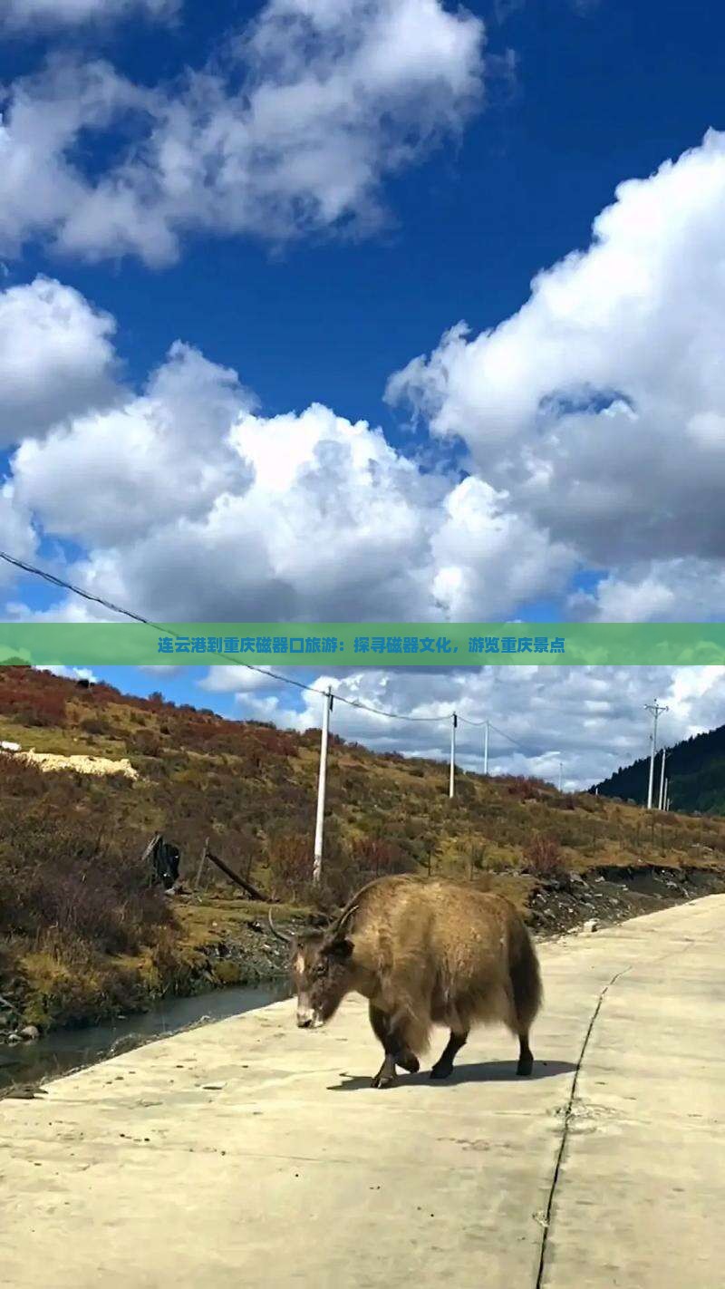 连云港到重庆磁器口旅游