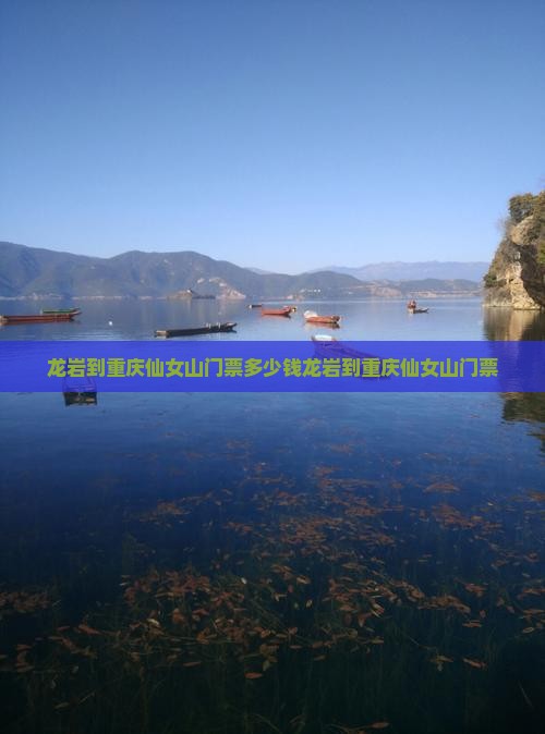 龙岩到重庆仙女山门票