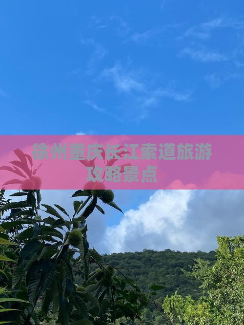 徐州去重庆长江索道景点