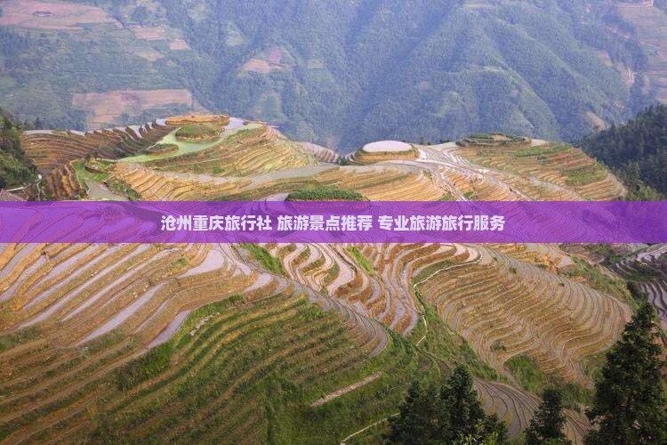 沧州去重庆旅行社