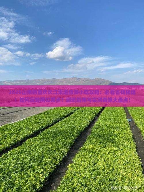 山南到重庆长江索道旅游小吃