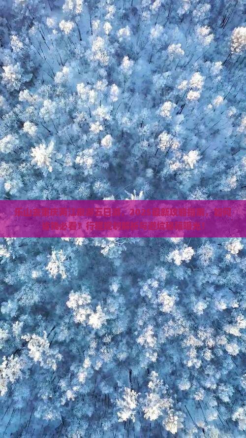 乐山去重庆两江夜游五日游 乐山去重庆两江夜游五日游
