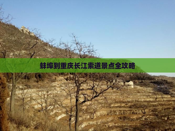 蚌埠到重庆长江索道景点