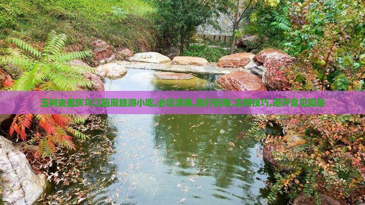 玉树去重庆乌江画廊旅游小吃