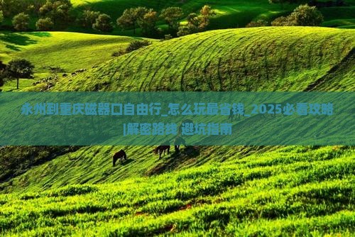 永州到重庆磁器口自由行
