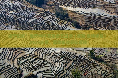 遂宁去重庆wfc观景台五日游