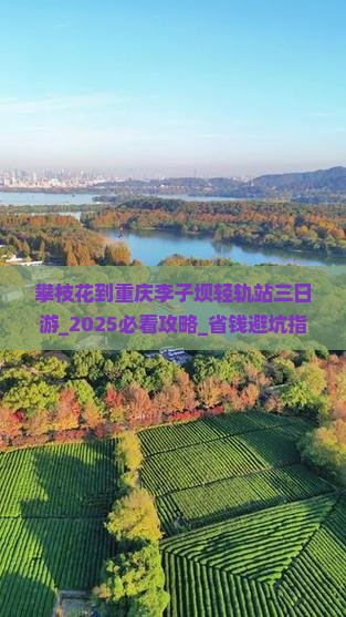 攀枝花到重庆李子坝轻轨站三日游