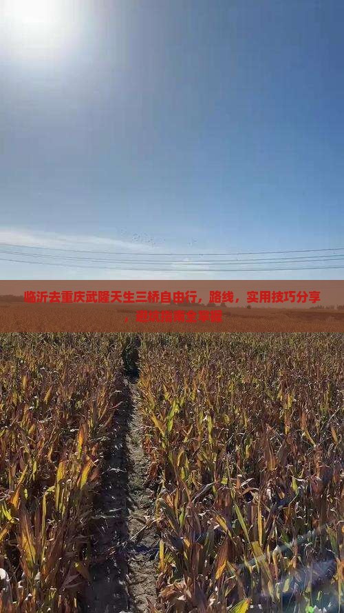 临沂去重庆武隆天生三桥自由行