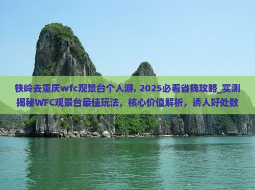 铁岭去重庆wfc观景台个人游
