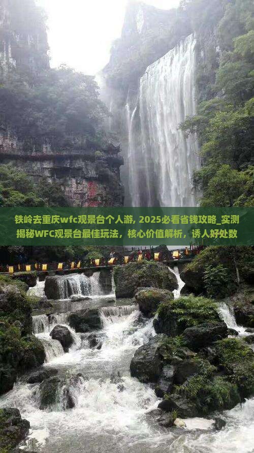铁岭去重庆wfc观景台个人游