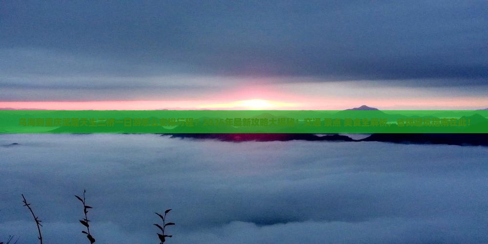 乌海到重庆武隆天生三桥一日