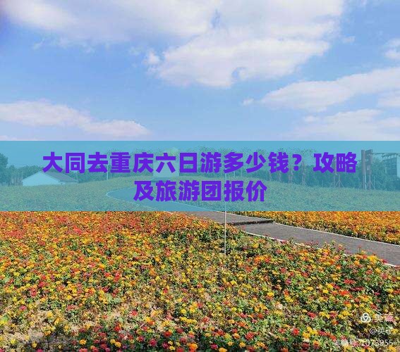 大同去重庆六日游