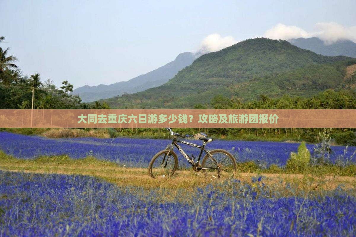 大同去重庆六日游