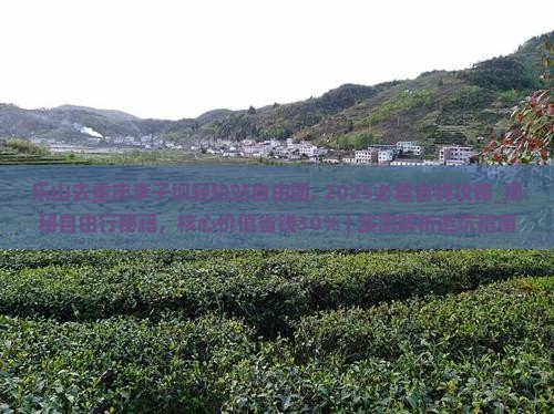 乐山去重庆李子坝轻轨站自由团