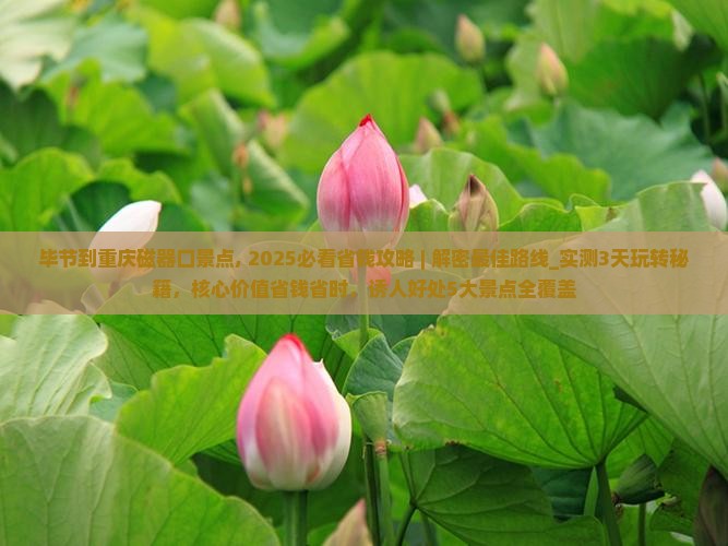 毕节到重庆磁器口景点