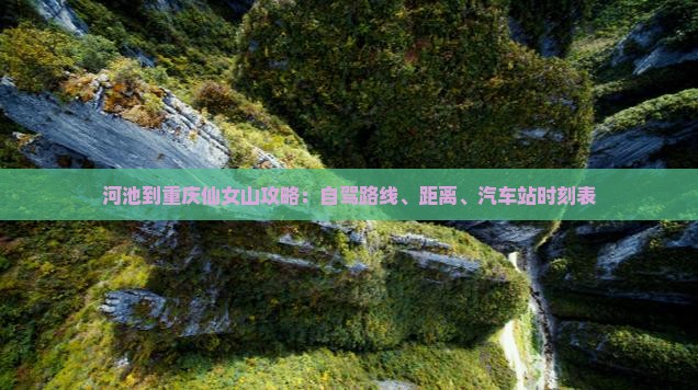 河池到重庆仙女山攻略