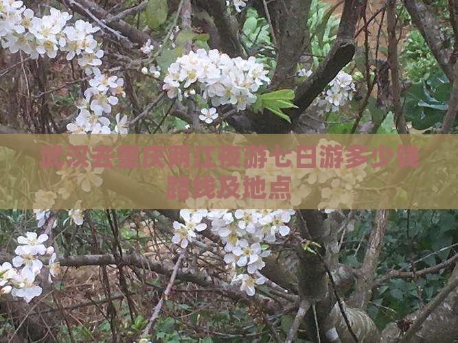 武汉去重庆两江夜游七日游