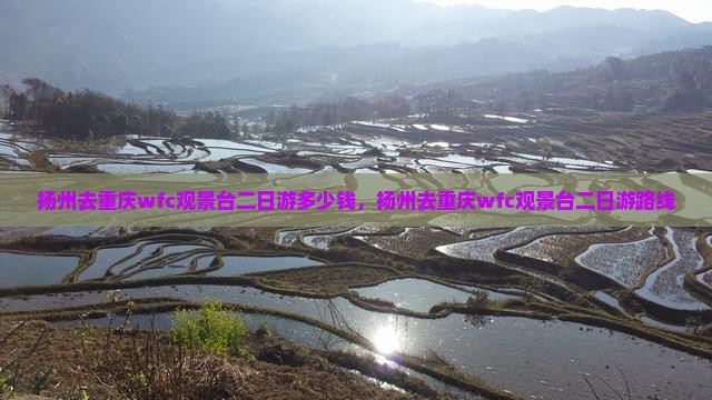 扬州去重庆wfc观景台二日游