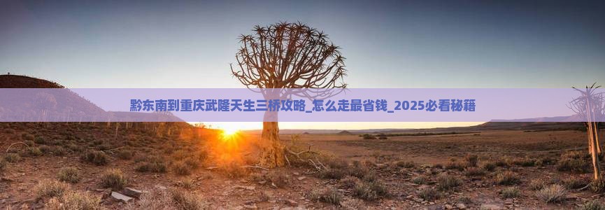 黔东南到重庆武隆天生三桥攻略