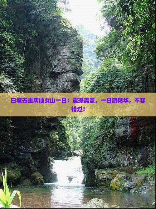 白城去重庆仙女山一日