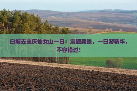 白城去重庆仙女山一日