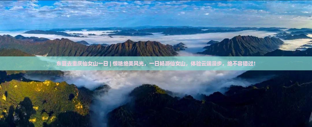 东营去重庆仙女山一日