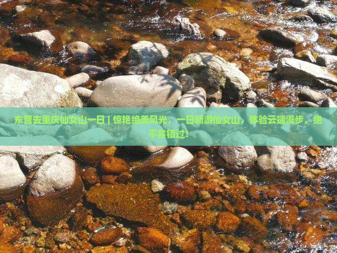 东营去重庆仙女山一日