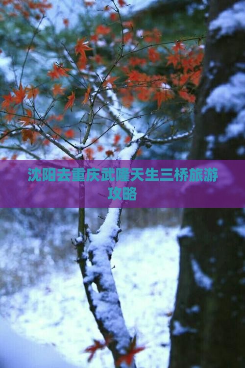 沈阳去重庆武隆天生三桥攻略