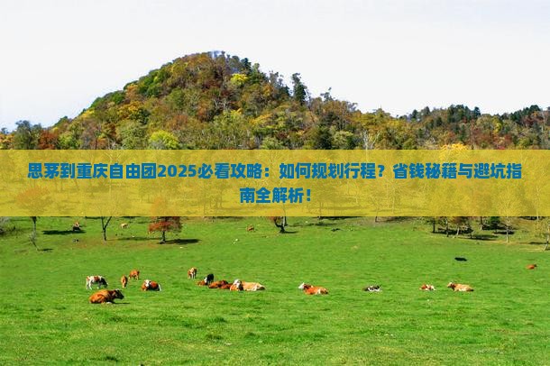 思茅到重庆自由团