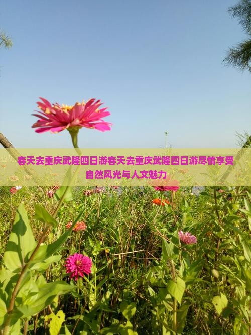 春天去重庆武隆四日游