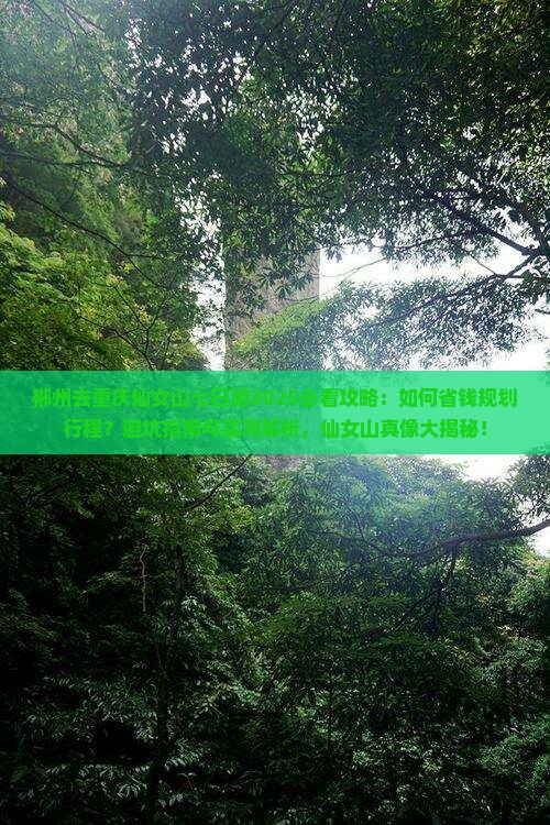 郴州去重庆仙女山七日游
