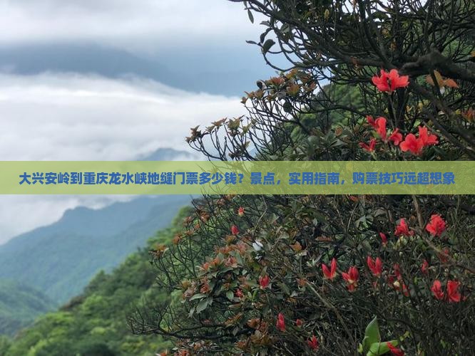 大兴安岭到重庆龙水峡地缝门票