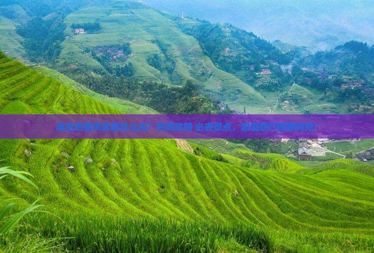 崇左到重庆武隆旅行社