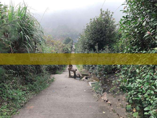 肇庆去重庆武隆天生三桥旅行社