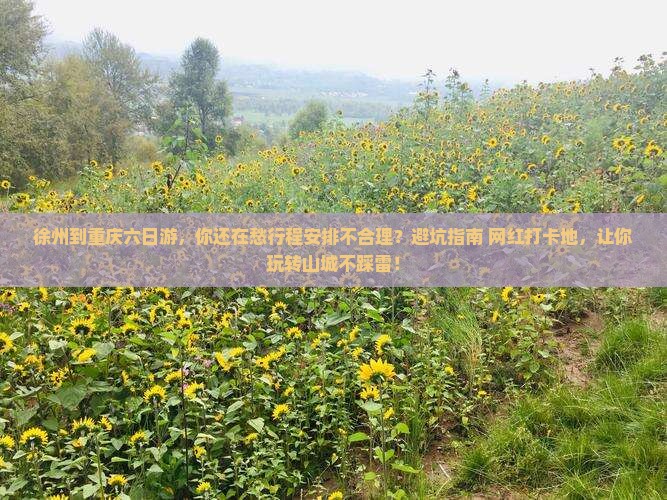徐州到重庆六日游