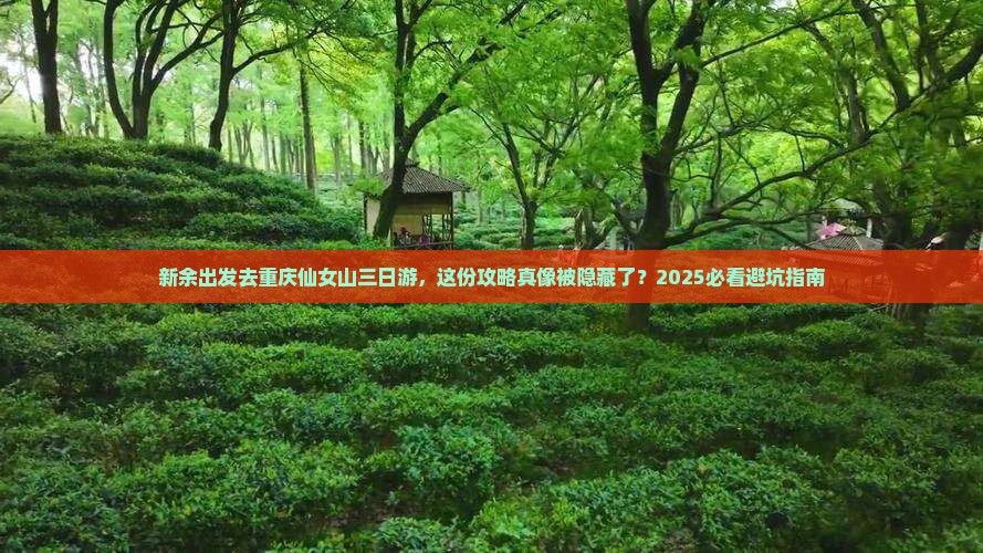 新余去重庆仙女山三日游