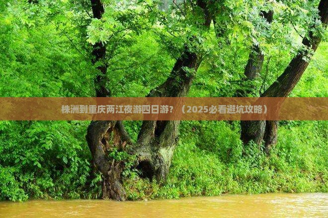 株洲到重庆两江夜游四日游