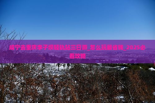 咸宁去重庆李子坝轻轨站三日游