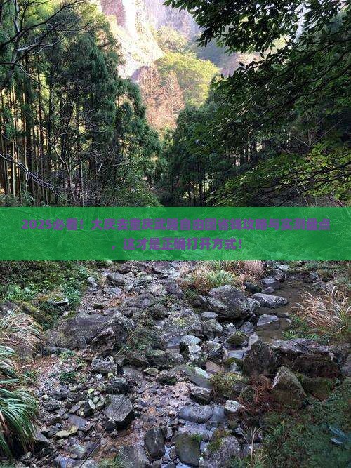 大庆去重庆武隆自由团