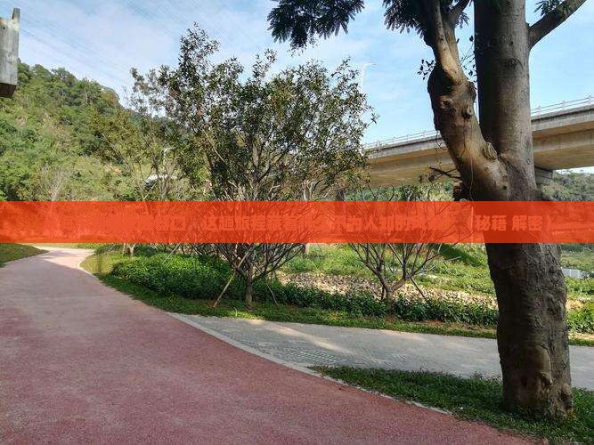 海东到重庆磁器口旅游
