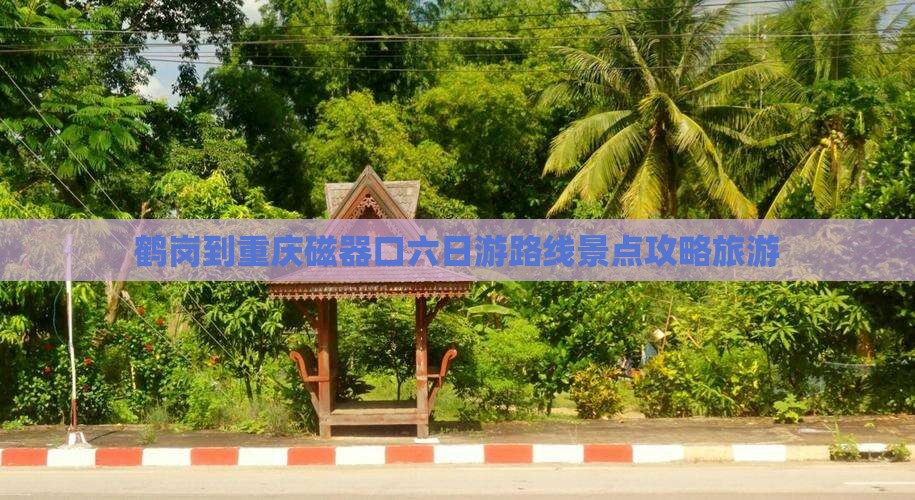 鹤岗到重庆磁器口六日游
