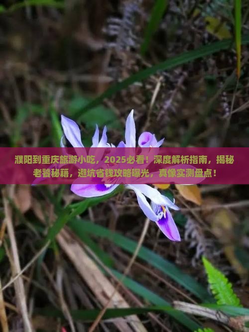 濮阳到重庆旅游小吃